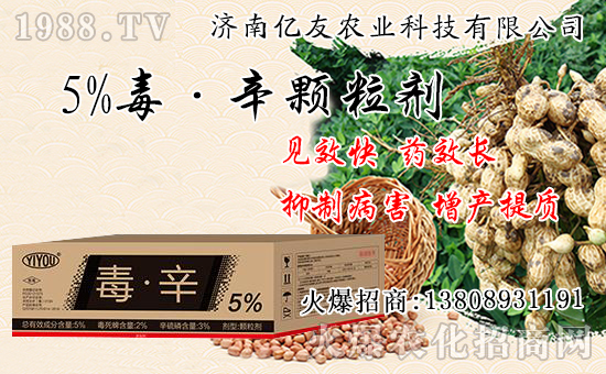 果樹秋栽和春栽有什么不同，果樹秋栽八大關(guān)鍵要點(diǎn)！