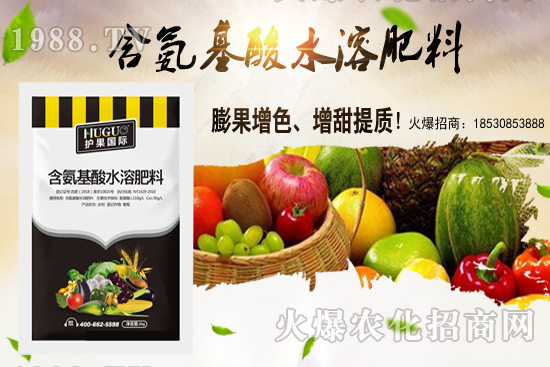 �|���m����ʲô����(ji��)�������|������M(j��n)�зNֲ��