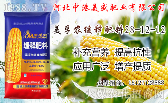 �O���������������ô�������O�������ڼ���ժ�������