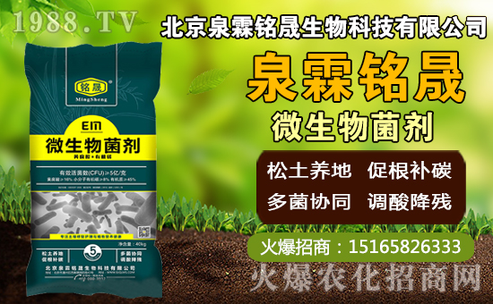 â��ʲô�r�g�Nֲ��â���Nֲ��������ˮ�r�ڣ�