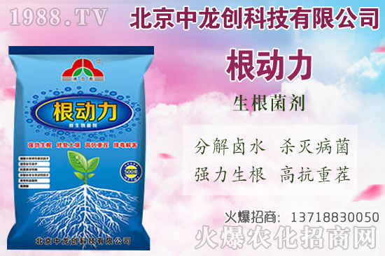 白蘿卜的需肥特性有哪些，白蘿卜施肥技術(shù)要點(diǎn)！