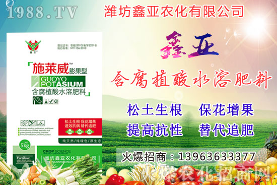 �Zʳ�q�r��20209��17��С���r�����������