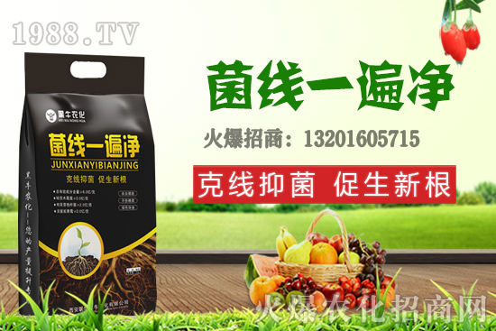 9��19��С���r(ji��)��������q�����F(xi��n)��