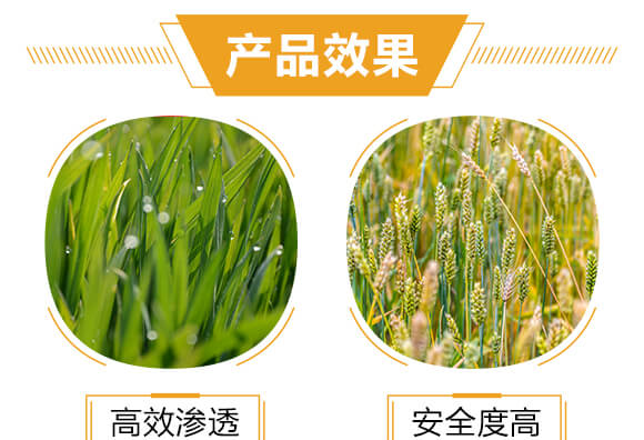 �M(j��n)�ڌ�(zhu��n)�Ú�������-���-�����r(n��ng)_05