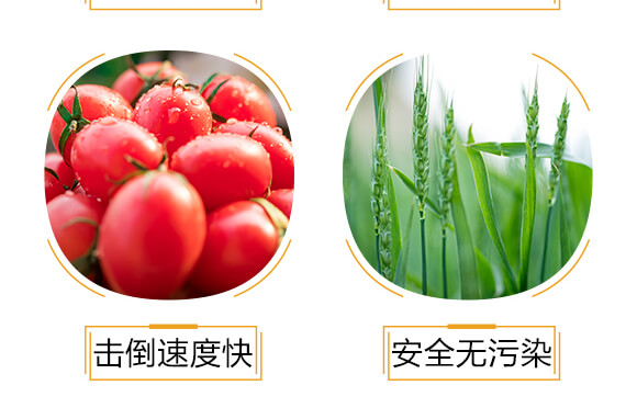 �M(j��n)�ڌ�(zhu��n)�Ú�������-���-�����r(n��ng)_06