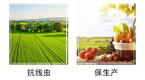 50L������|(zh��)-�֠���(y��u)_05