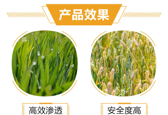 500ml進(jìn)口專(zhuān)用殺螨助劑-斑狄-科利農(nóng)_05