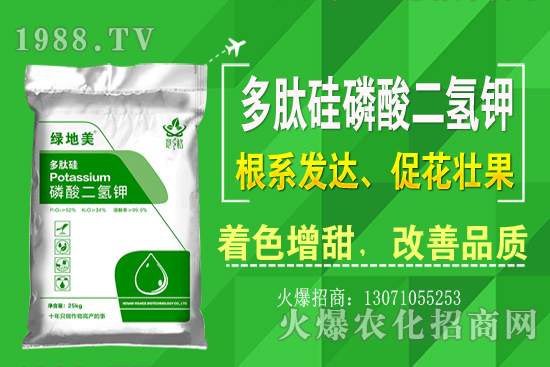 芹菜的優(yōu)良品種有哪些？芹菜種植生長環(huán)境（附種植技術(shù)）