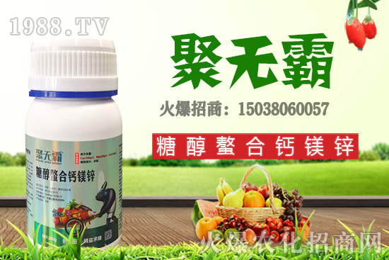 沙糖桔苗多少錢一棵？沙糖桔什么時候結(jié)果？栽培要點有哪些？