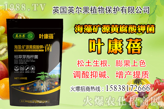 ��ô�Д����׺�ˮ��������������ˮ���й��ж���(j��ng)�(y��n)��