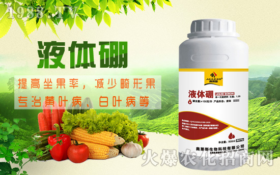 棉花缺硼危害究竟有多大，棉花缺硼癥狀及硼肥施用技術(shù)！