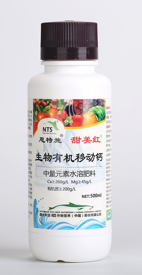 500ml�����ЙC�Ƅ��}-�����t-����ʩ2