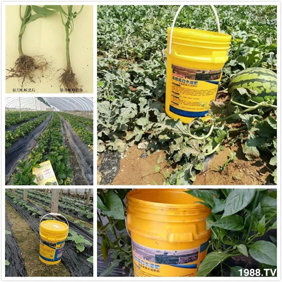 ˮ�ܷ��Ј���׃��������徫���~���׌�����������1000���Ñ��������]��