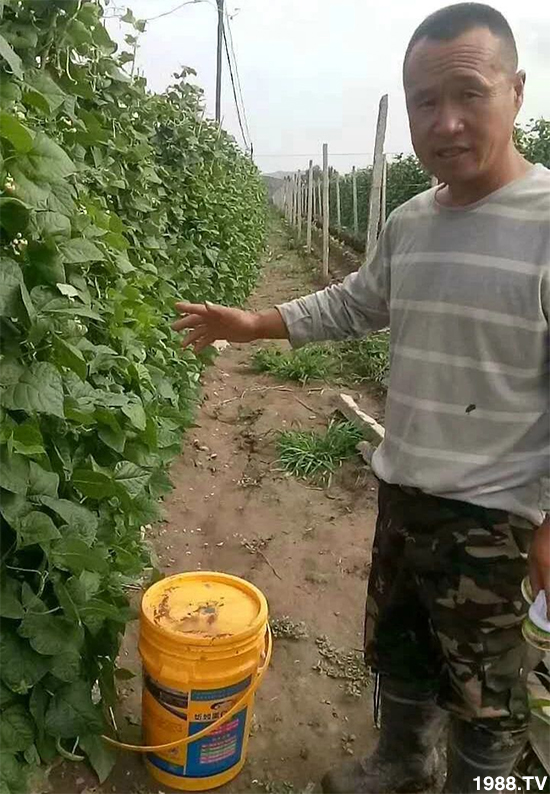 ˮ�ܷ��Ј���׃��������徫���~���׌�����������1000���Ñ��������]��