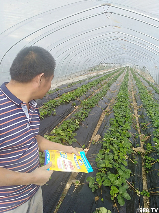 ˮ�ܷ��Ј���׃��������徫���~���׌�����������1000���Ñ��������]��