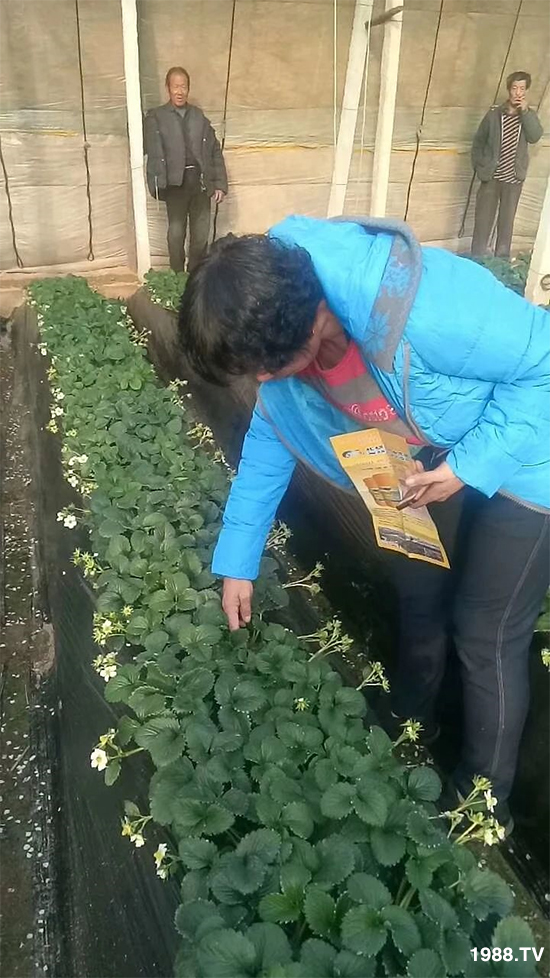 ˮ�ܷ��Ј���׃��������徫���~���׌�����������1000���Ñ��������]��