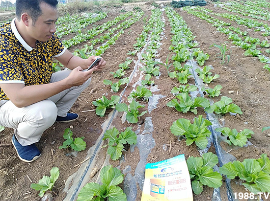 ˮ�ܷ��Ј���׃��������徫���~���׌�����������1000���Ñ��������]��