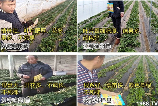 ˮ�ܷ��Ј���׃��������徫���~���׌�����������1000���Ñ��������]��