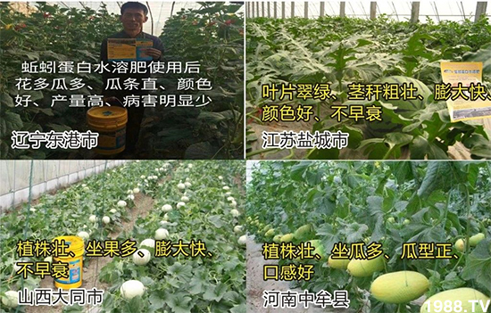 ˮ�ܷ��Ј���׃��������徫���~���׌��������棡1000���Ñ��������]��