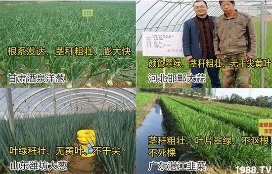 ˮ�ܷ��Ј���׃��������徫���~���׌�����������1000���Ñ��������]��