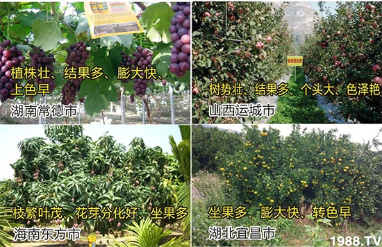 ˮ�ܷ��Ј���׃��������徫���~���׌��������棡1000���Ñ��������]��