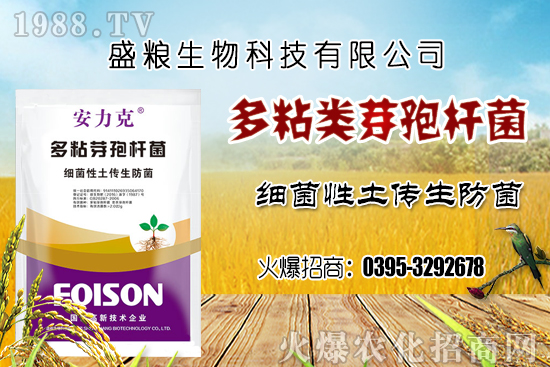 ܇?y��n)��ӷNֲ�h(hu��n)��Ҫ�����Ď��c(di��n)��܇?y��n)������N�x�����N�׷N��