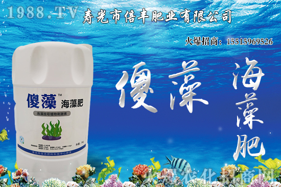 �Ј��𲽻ؚw�������������󶹃r��_�߻�����