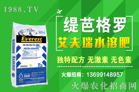 С���r(ji��)��q����ʮ��С�������A(y��)�y(c��)��