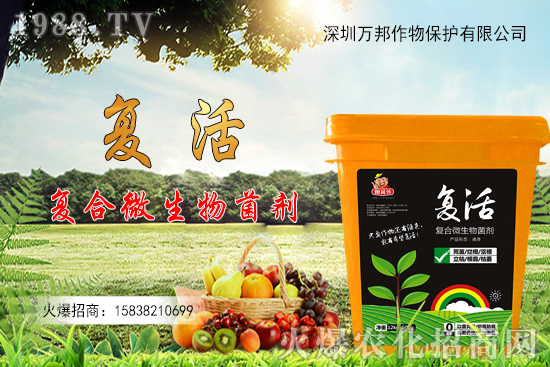 ���������ԷN������M�й�������ʲô����Ҫ�c��