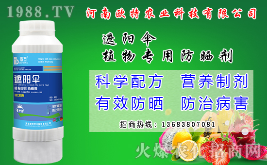 �R������Ժ���Щ�����׷N���R����׷Nģʽ��ʲô��̎��