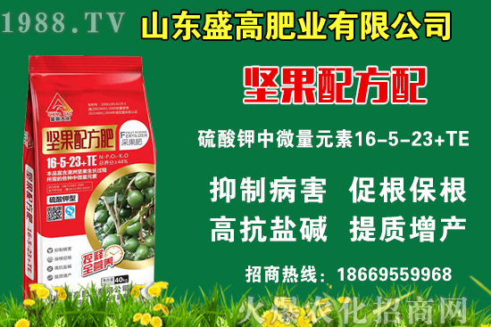 С���r��߀Ҫ�ϝq����9��9�Շ���(n��i)С���r��������