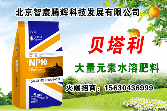 2020��Nʲôˎ����ٍ�X���Nֲˎ�����a(b��)�N������Щˎ���зNֲǰ����