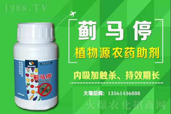 2021��2��11���K�ƽ�U�����x(ch��ng)���r(ji��)��