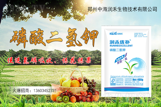 ����һ���굽��ԓ��ôʩ��������ʩ��ע�����(xi��ng)����Щ��