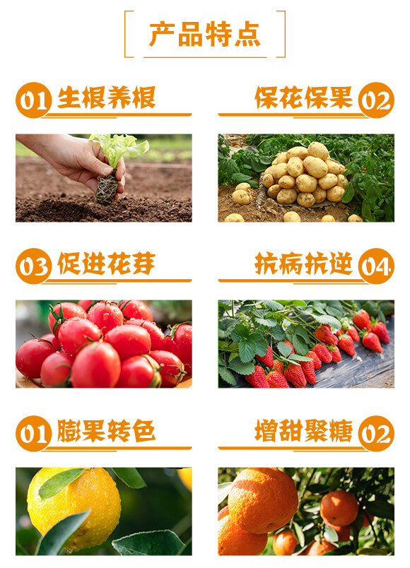 ���ٌ�(zhu��n)��-������-һ������_03