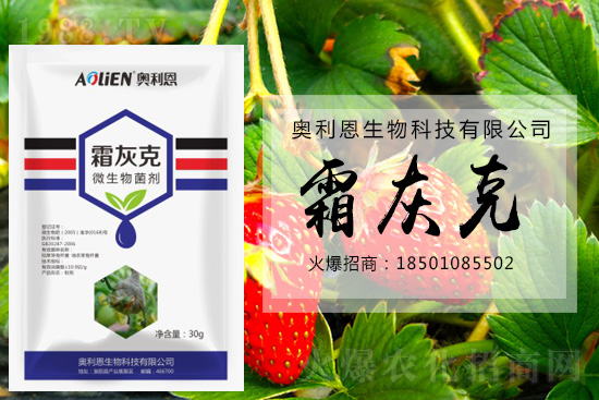 ������ݮ�װl(f��)��ù�����A(y��)����ʩ��ô����