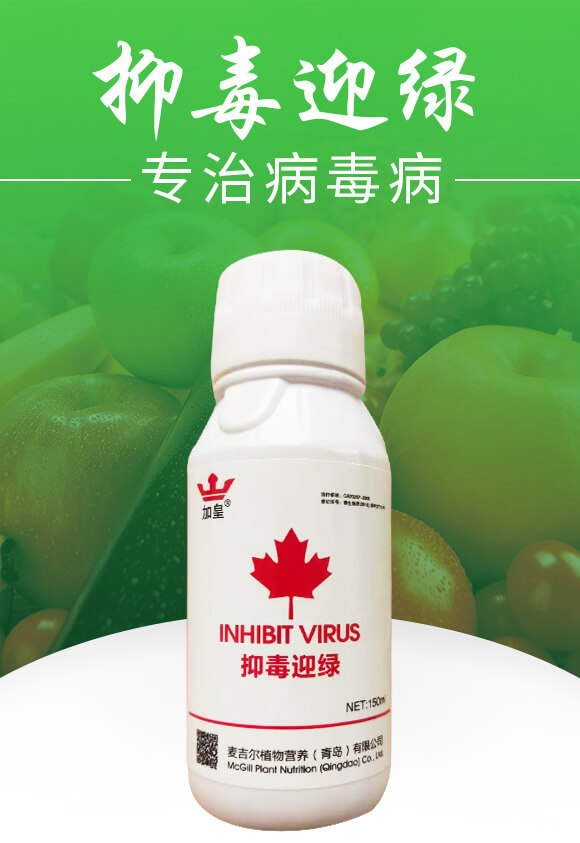 抑毒迎綠（專治病毒病）-綠肥_01