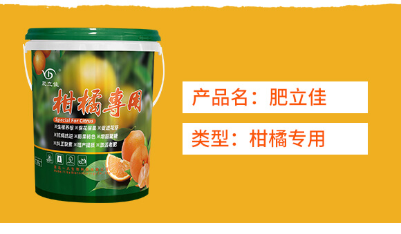 ���ٌ�(zhu��n)��-������-һ������_02