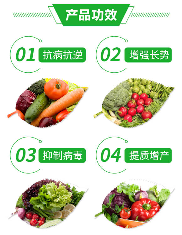 抑毒迎綠（專治病毒?。?綠肥_03