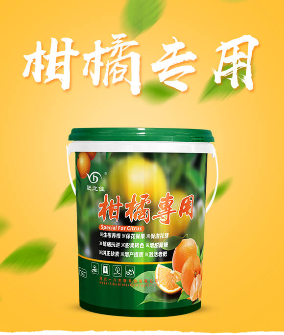 ���ٌ�(zhu��n)��-������-һ������_01