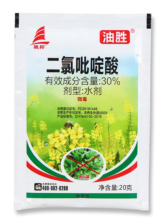 30%���������-�̈́�-ϲ�S��4