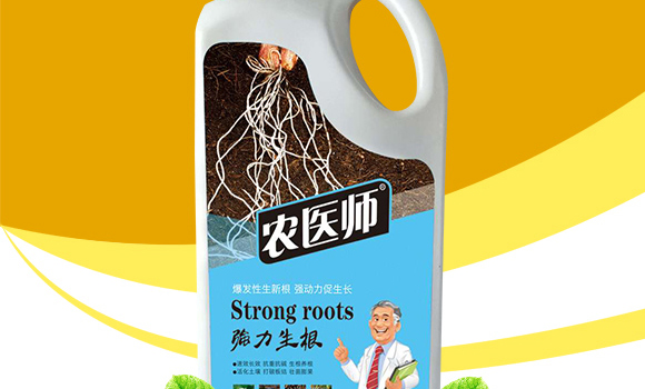 ��������-�r(n��ng)�t(y��)��-�_��ţ_02