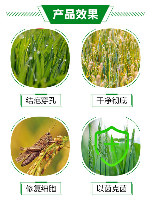 潰化寶典-三顆橘子_02