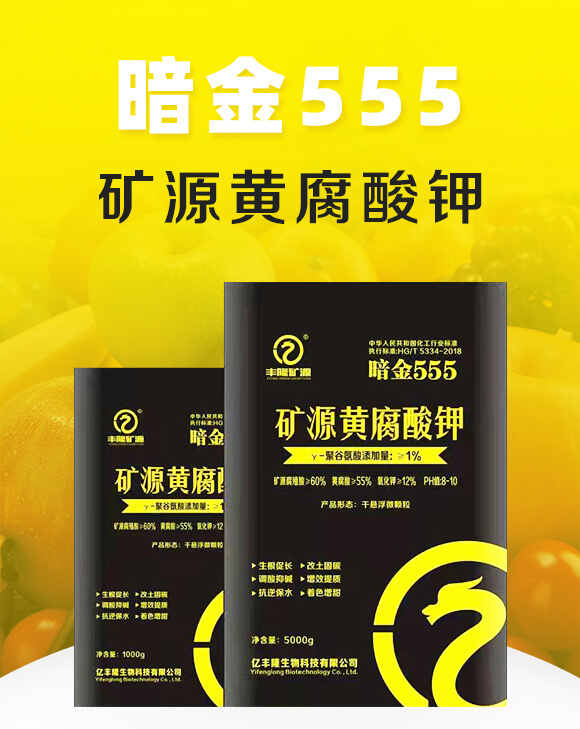 �VԴ�S�����-����555-�|�S¡_01