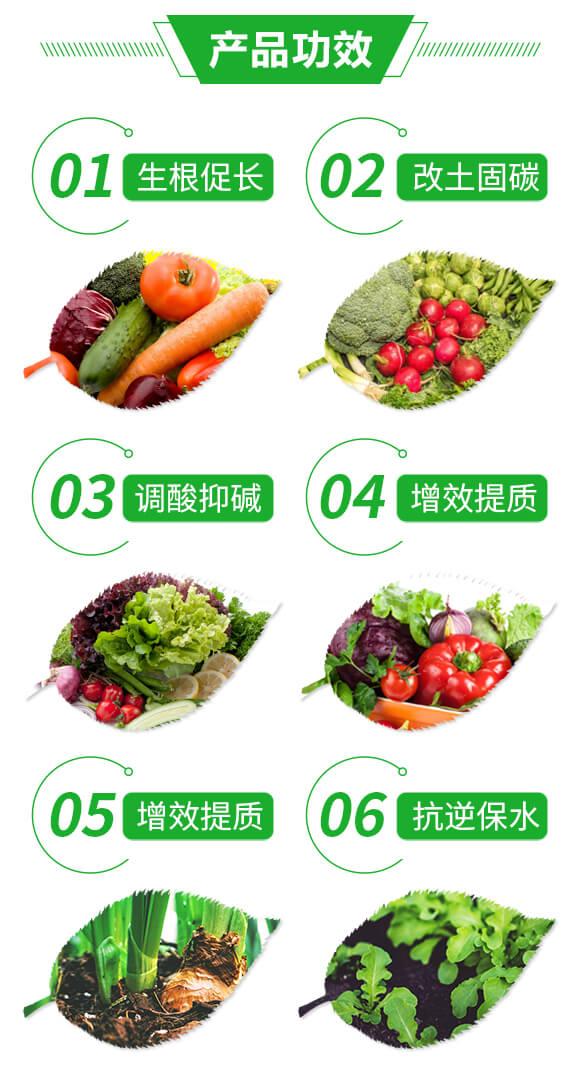 �VԴ�S�����-����555-�|�S¡_03