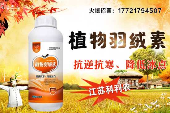 春玉米種植密度如何把握，春玉米施肥及中后期管理！