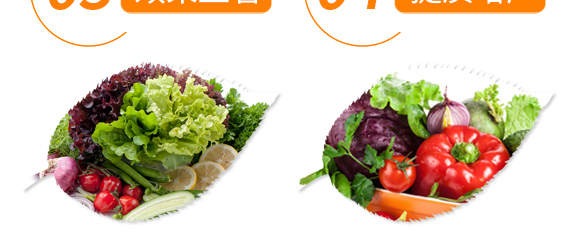 魚(yú)蛋白生物肥-秀菌龍-新豐田_07