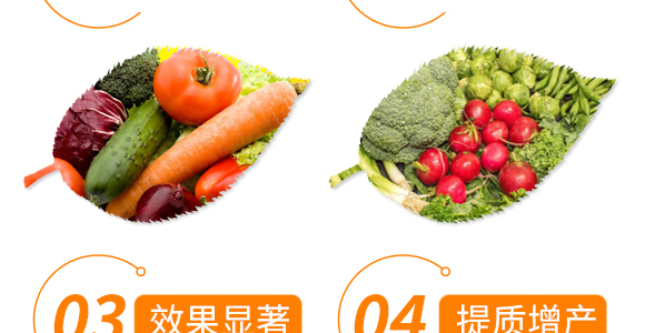 魚(yú)蛋白生物肥-秀菌龍-新豐田_06