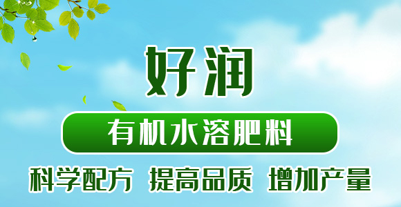 500g�ЙC(j��)ˮ�ܷ���-�Ý�-��������_01