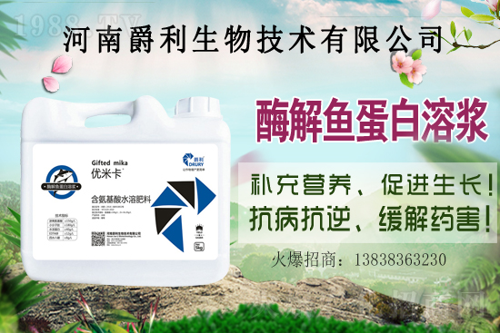 ���Ϟ�ʲôҪ���ɫ����(y��ng)ԓ����xُ�m�ϵ��ɫ������